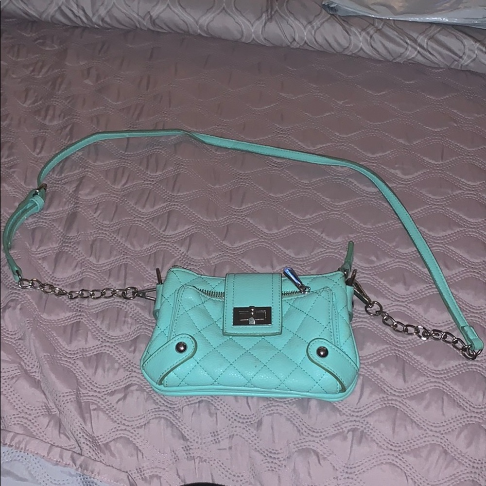 Charming Charlie’s purse.